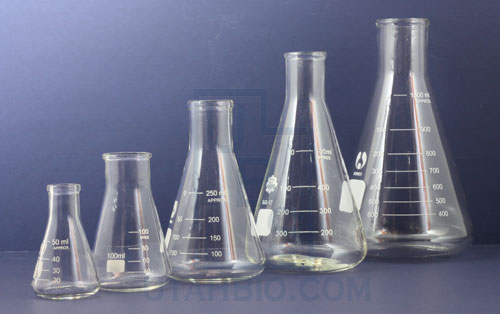 erlenmeyer flask